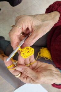סריגת פרפרי החופש